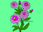 玫瑰花的网友填色作品