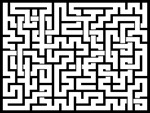 20231113յԹϷ