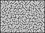20231128յԹϷ
