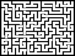 2023113յԹϷ
