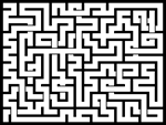 202377յԹϷ
