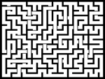 202382յԹϷ