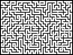 202382յԹϷ