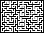 202384յԹϷ