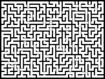 202384յԹϷ