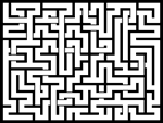 202388յԹϷ