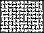 202388յԹϷ