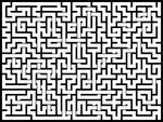 202413յԹϷ