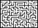20241111յԹϷ