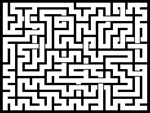 2024111յԹϷ