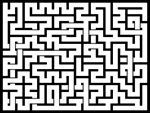 20241112յԹϷ