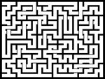 20241113յԹϷ