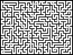 20241113յԹϷ