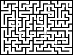20241114յԹϷ