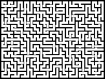 20241120յԹϷ