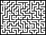 2024113յԹϷ