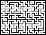 2024115յԹϷ