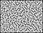 2024115յԹϷ