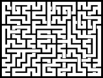 2024116յԹϷ
