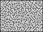 20241216յԹϷ