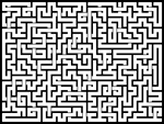 20241226յԹϷ