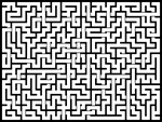 20241229յԹϷ