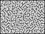 2024214յԹϷ