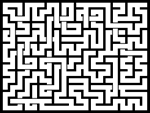 2024215յԹϷ