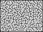 202428յԹϷ