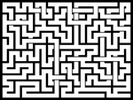 202431յԹϷ