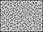 2024315յԹϷ