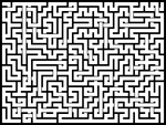 2024317յԹϷ