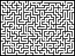 202438յԹϷ