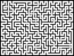 202442յԹϷ