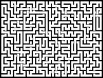 202443յԹϷ