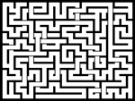 2024531յԹϷ