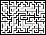 202462յԹϷ