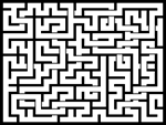 202466յԹϷ