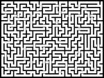 202475յԹϷ