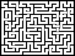 202481յԹϷ