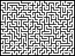 202485յԹϷ