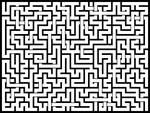 202486յԹϷ