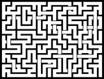 202488յԹϷ
