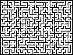 202488յԹϷ