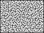 202489յԹϷ