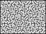 2025113յԹϷ