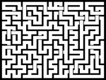 2025116յԹϷ