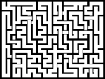 202523յԹϷ
