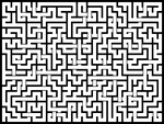 202529յԹϷ