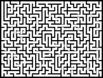 2025317յԹϷ